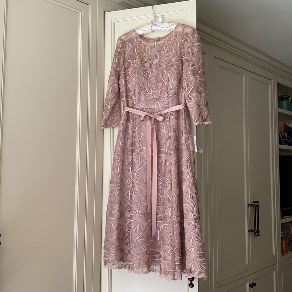 Alex Evenings Blush Lace Midi Dress